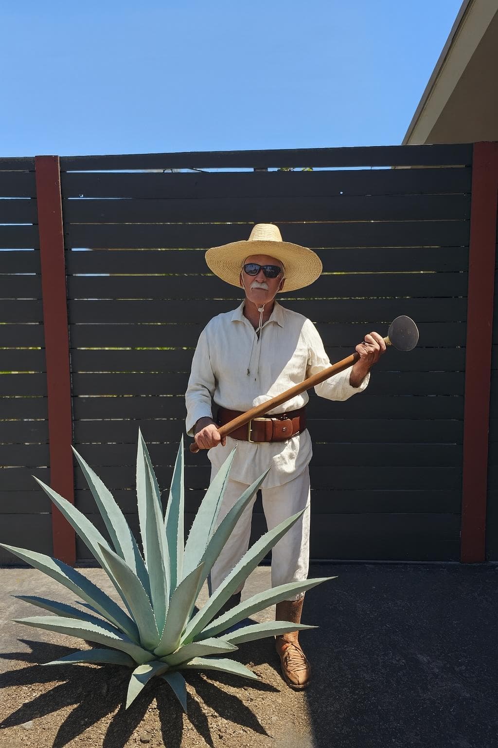 Agave harvesting scene 5